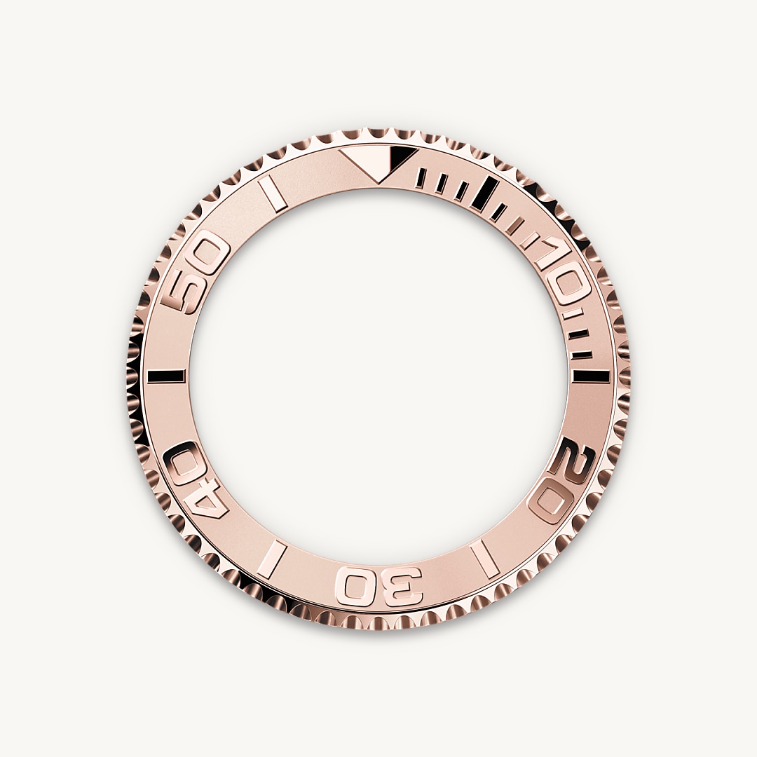 Bidirectional Rotatable Bezel