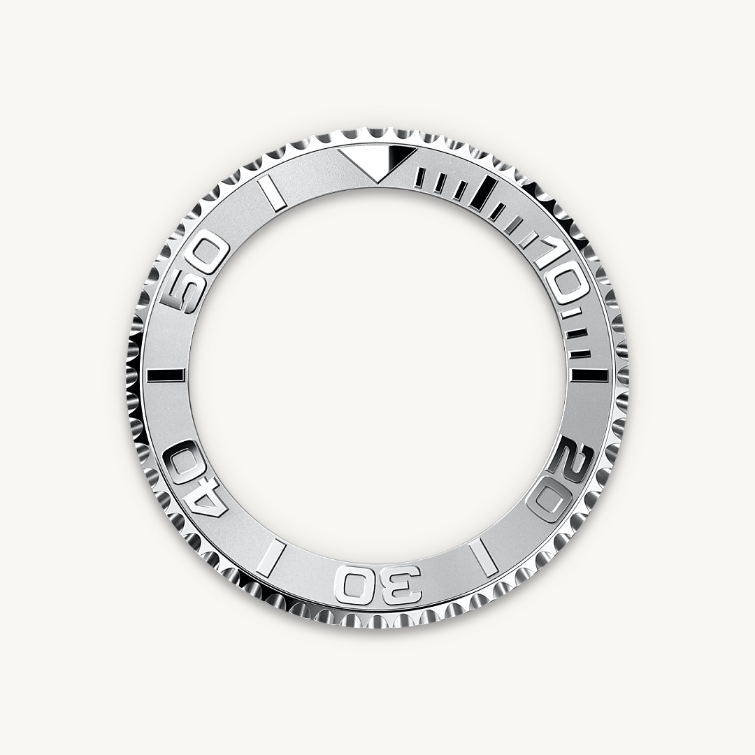 Bidirectional Rotatable Bezel