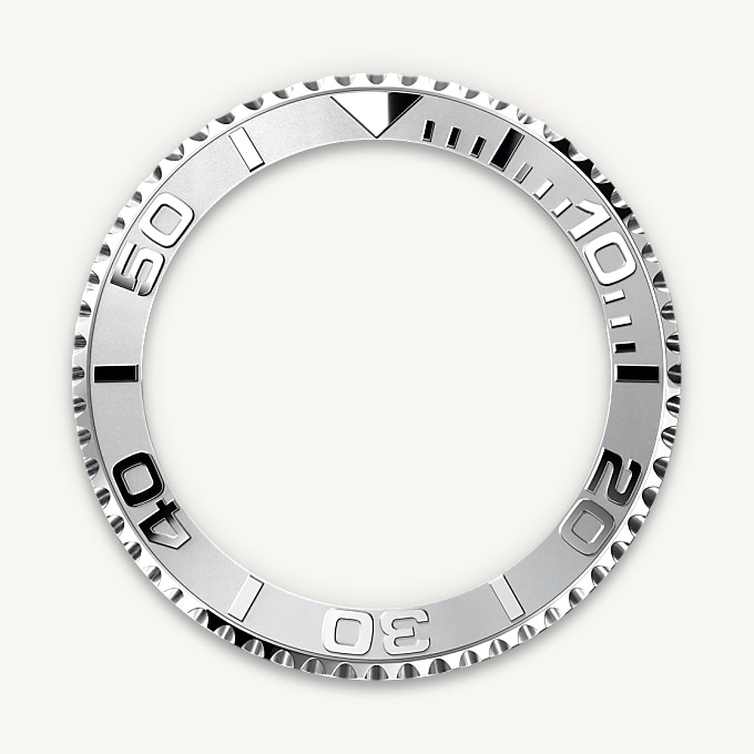 Bidirectional Rotatable Bezel
