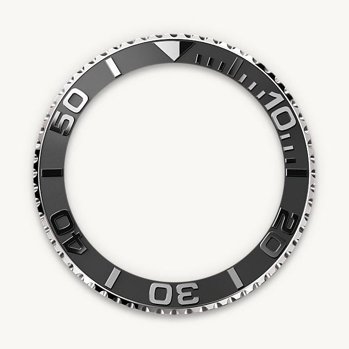 Bidirectional Rotatable Bezel