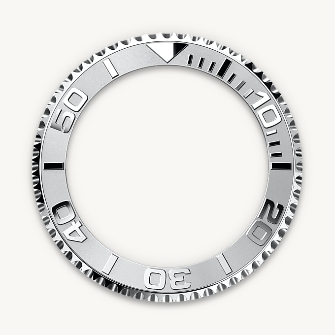 Bidirectional Rotatable Bezel