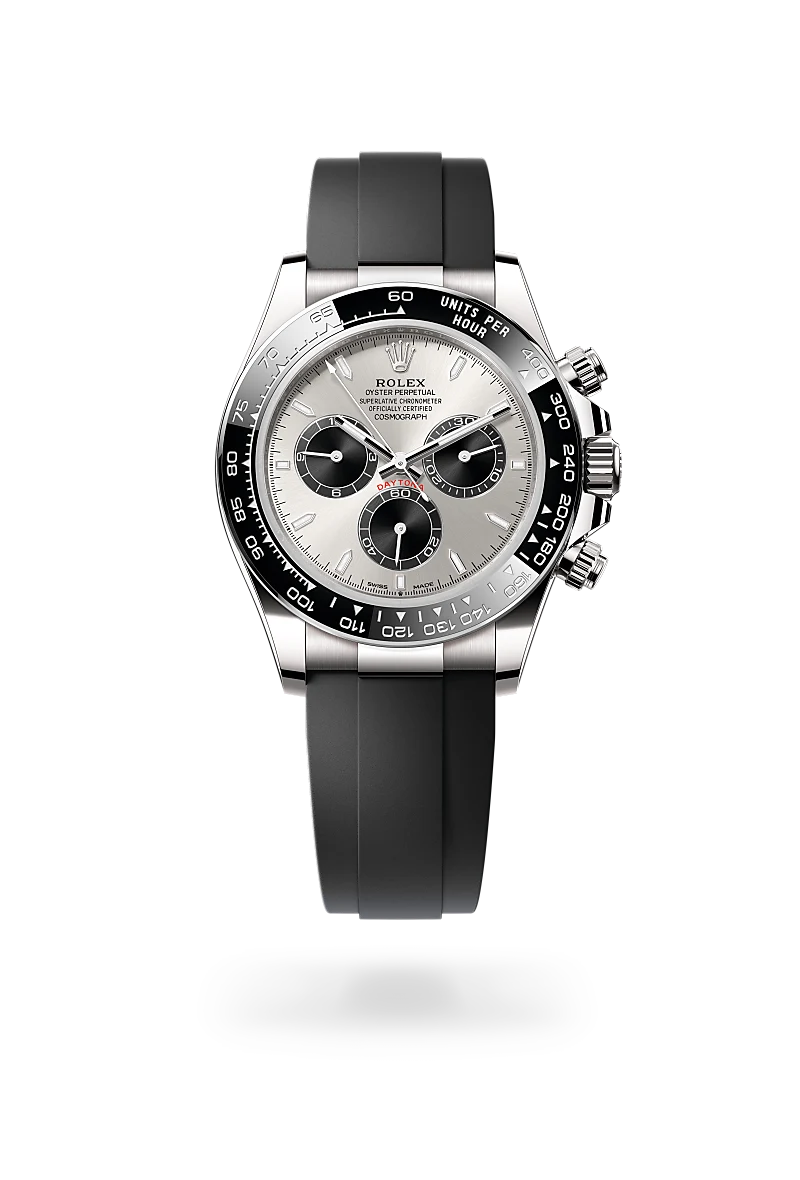 Oyster, 40 mm, white gold