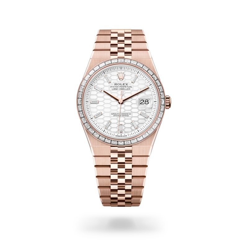 Oyster, 40 mm, Everose gold and diamonds