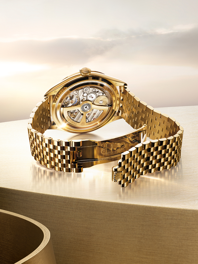 rolex new watches perpetual ambiance m stojan portrait